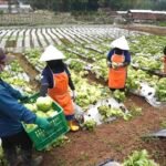 Screenshot_20260321_120459_Drive